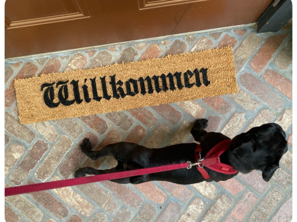Willkimmen German welcome skinny doormat
