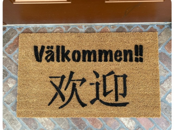 CHINESE & Swedish bilingual Scandanavian decor  welcome doormat