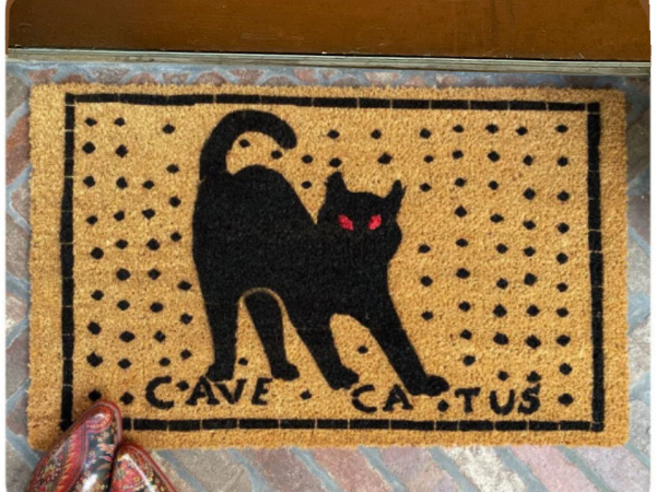 outdoor coir doormat reading cave catus roman pomeii latin mosaic beware of cat