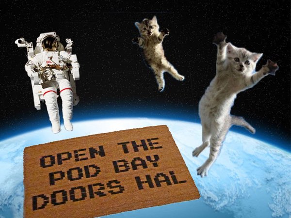 Open the pod bay doors Hal, 2001 space Odyssey doormat | Damn Good Doormats