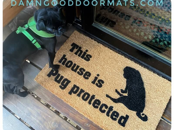 Lifestyle photo of black pug with doormat "This house is Pug protected"