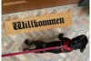Willkimmen German welcome skinny doormat