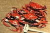 crab doormat RED steamed Maryland blue crabs