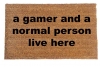 Gamer and a normal person live here, funny nerd doormat