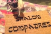 Shalom Compadres™ Jewish Spanish funny doormat