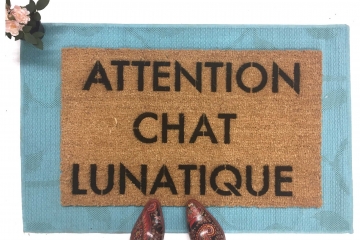 ATTENTION CHAT LUNATIQUE crazy cat door mat french cat lady doormat doormatt
