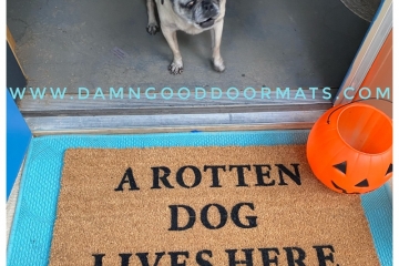 Rotten DOG lives here™ Hocus Pocus Halloween doormat