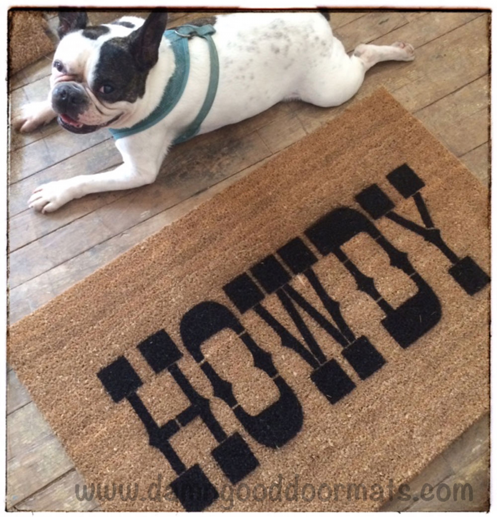 TAMU Aggie College Station Gig'em Tailgate Howdy Texas A&M University Doormat Personalized College Collegiate Graduation Gift