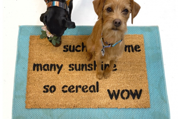 doge much welcome, many sunshine, so cereal,wow, meme funny doormat