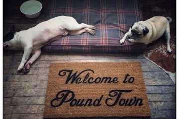 Welcome to Pound Town™