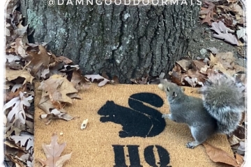 Squirrel doormat Ranch or Headquarters hand painted