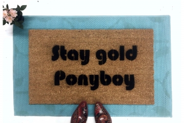 Stay Gold Ponyboy