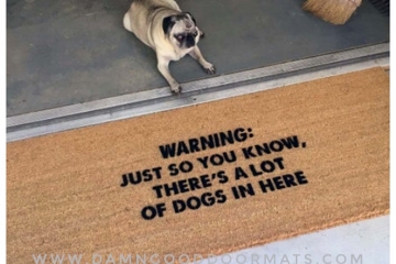 XL DOGS Warning: Just so you know, there's a lot of dogs in here™