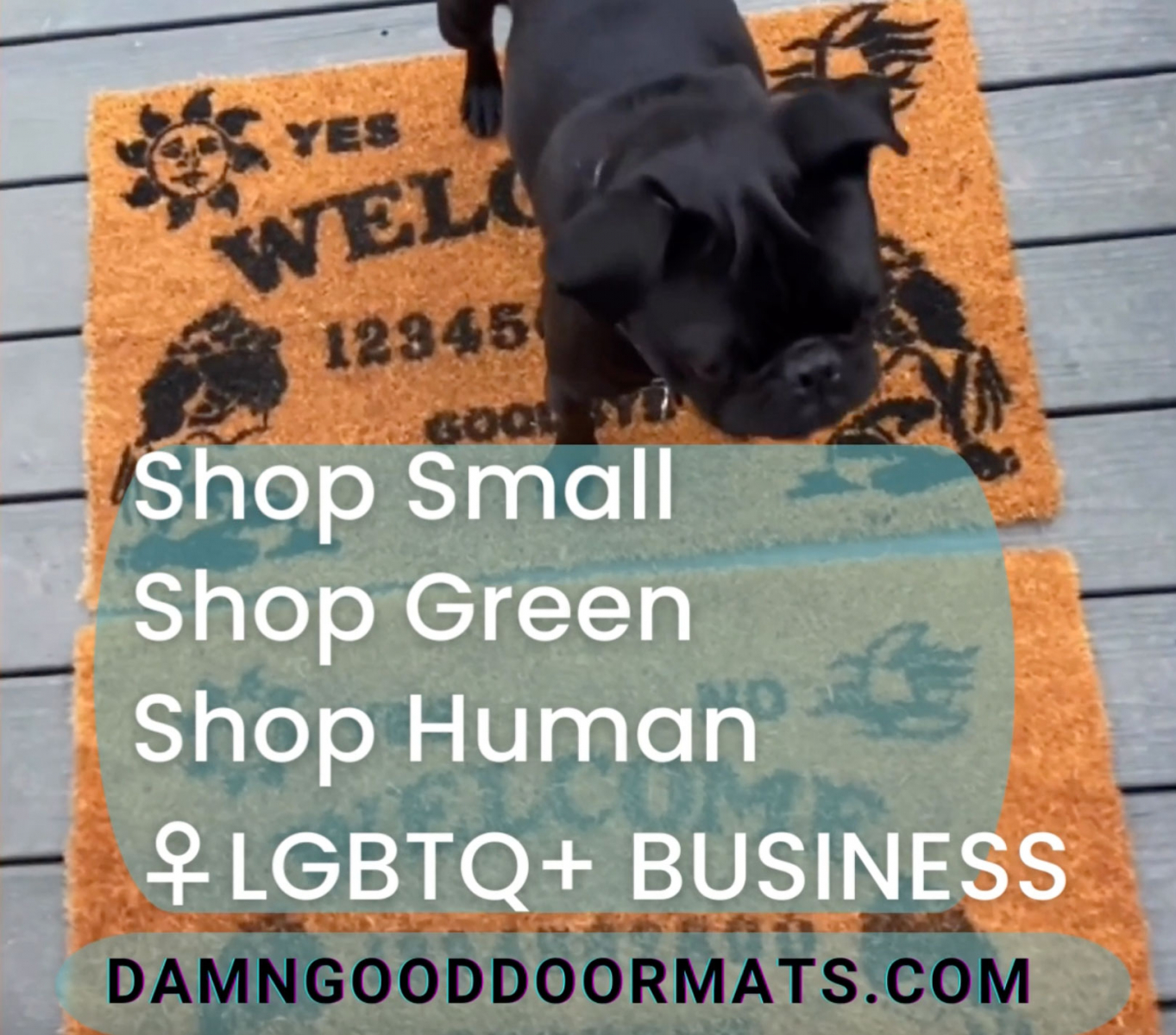 promo graphic for damn good doormats. support small, green woman owned, LGBTQ queer owned business