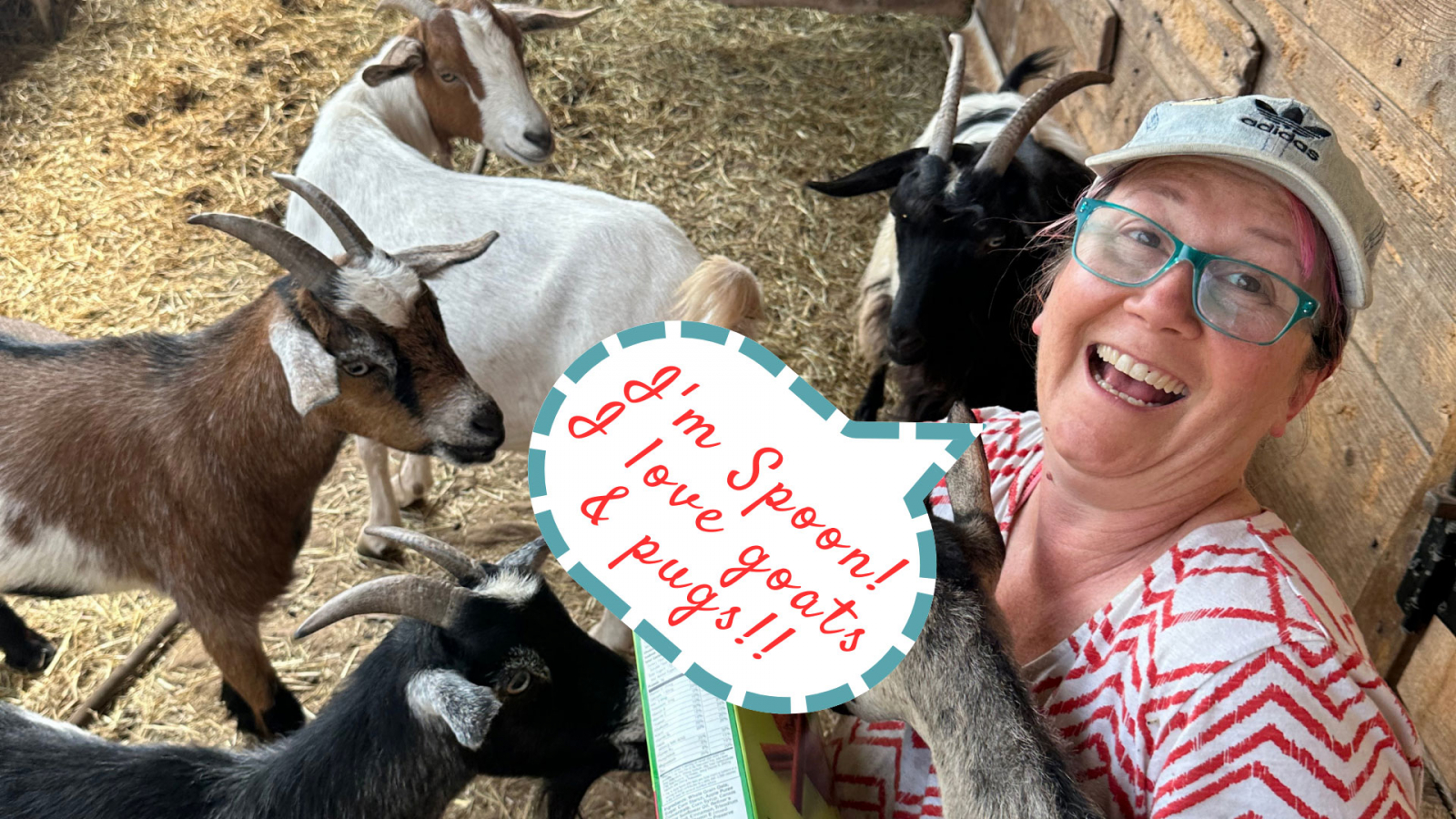 spoon popkin, owner of damn good doormats happily feeding baby goats