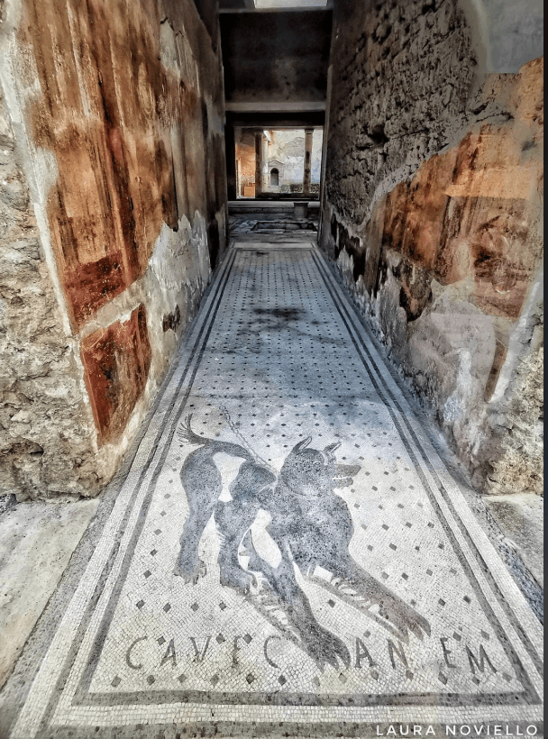 the House of the Tragic Poet in Pompeii cave canem mosaic