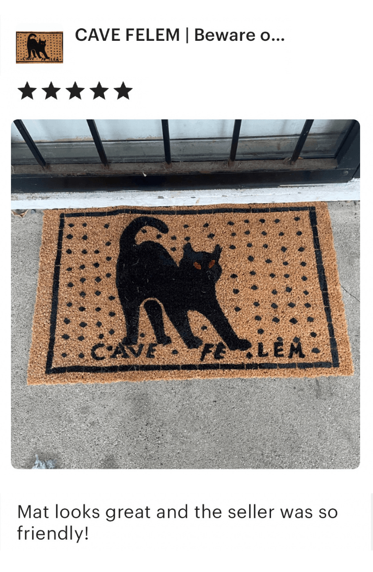 beware of cat doormat 5 star review