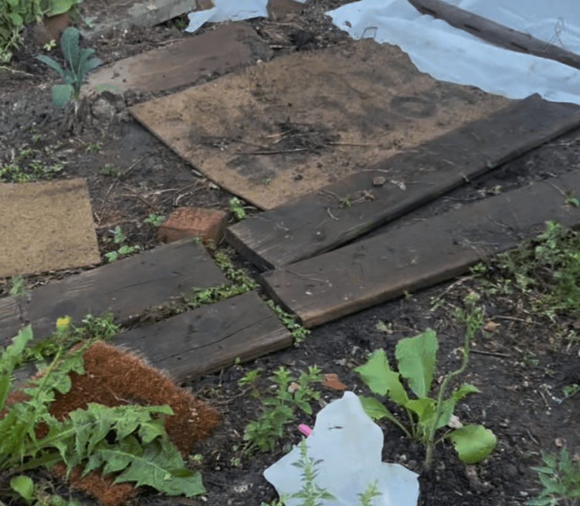 An old coir doormat reused as a garden weed barrier, a zero-waste second life