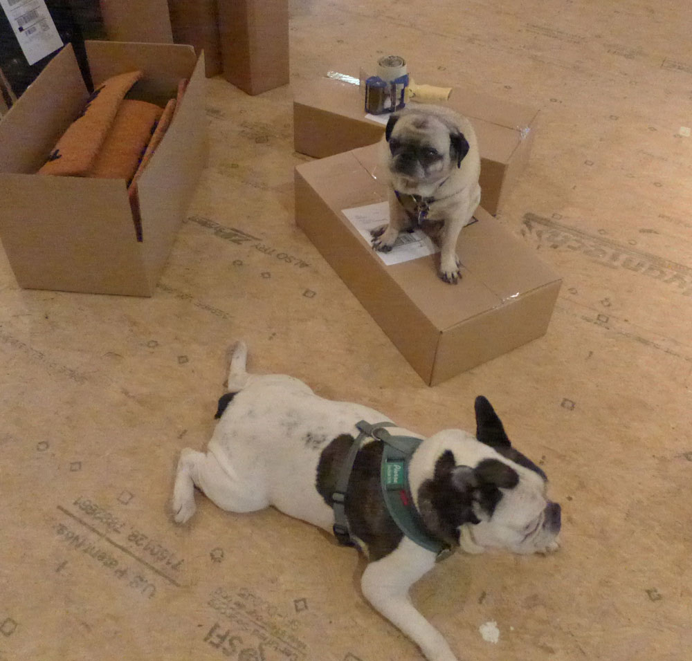 A stack of finished rude custom doormats with a pug and a french bulldog packed and ready to ship as gifts.