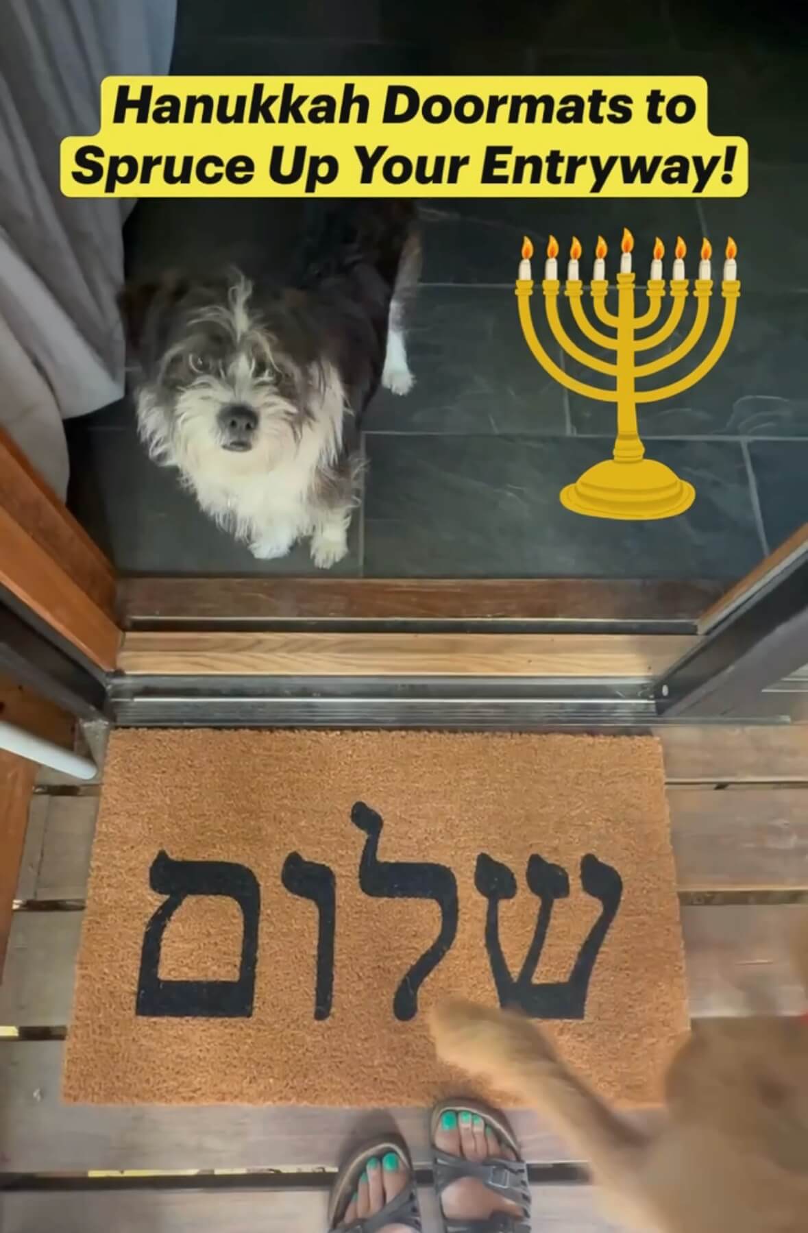 hebrew shalom doormat on a wood porch with a terrier dog looking up