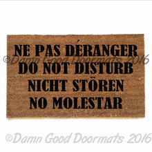 Do not disturb in Spanish, French, English and German. That should getthe messag
