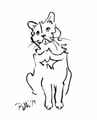 cat pet portrait drawing damn good doormats