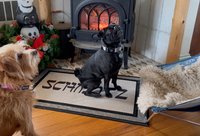 Hebraic Schmutz doormat