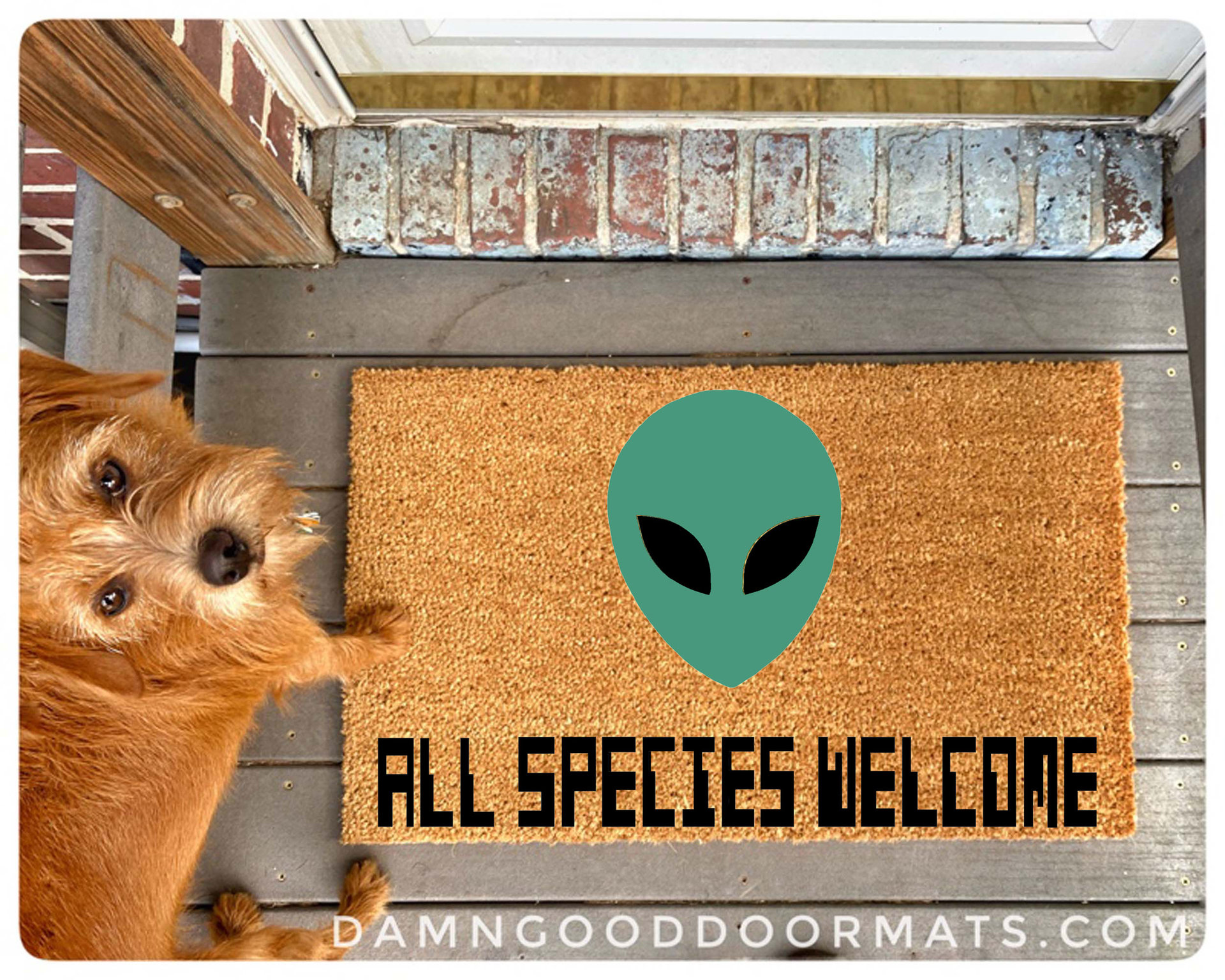 Alien All species Halloween Welcome doormat