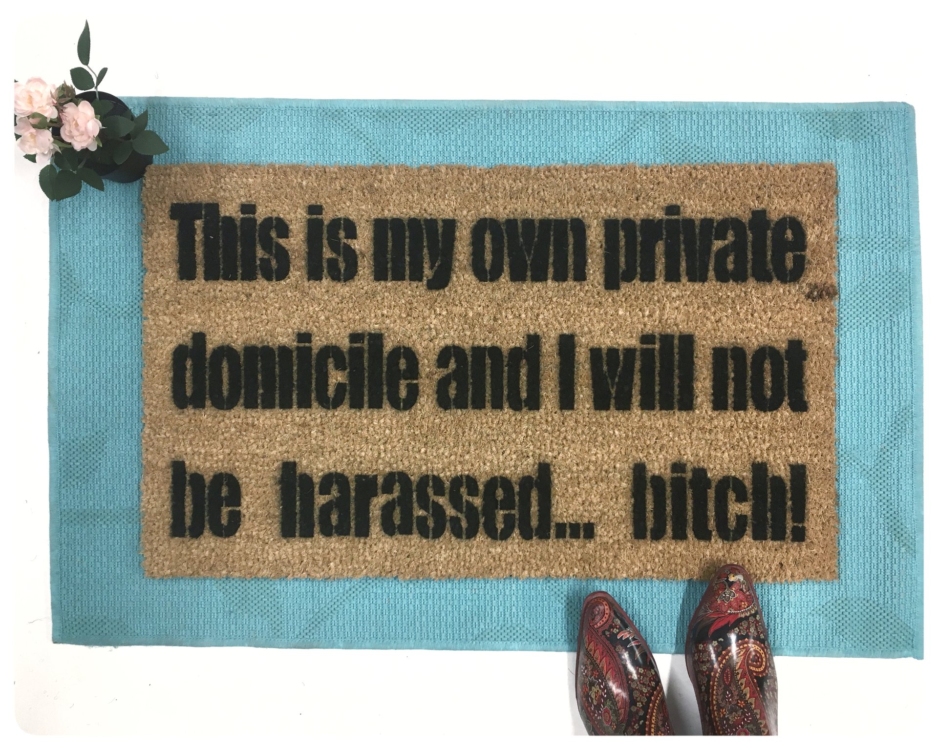 this is my private domicile and I will not be harassed bitch, breaking bad