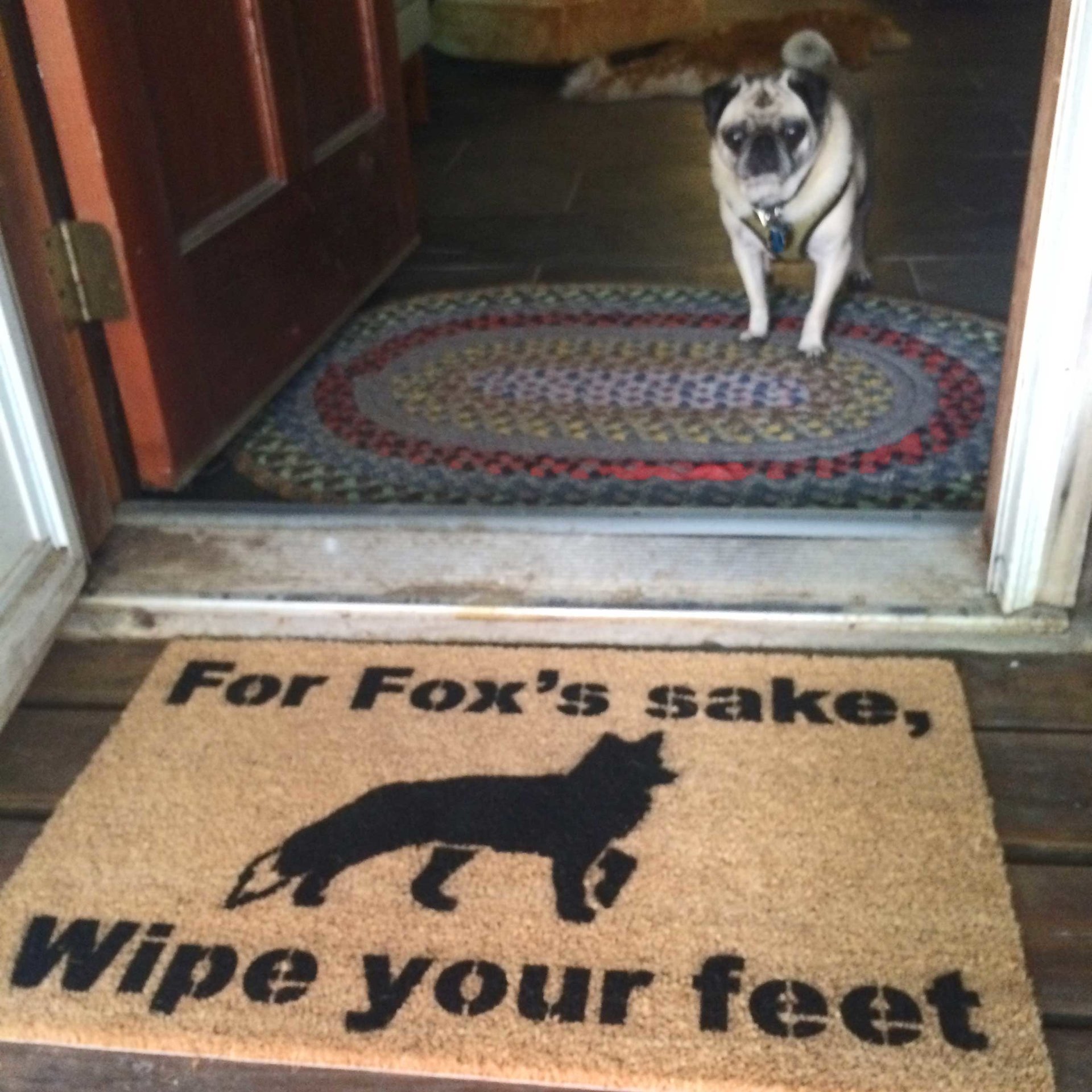 For fox's sake, wipe your feet, funny doormat