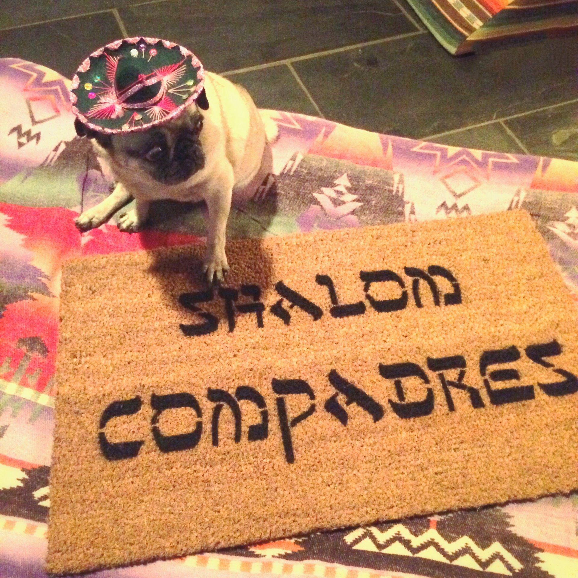 Shalom Compadres™ Jewish Spanish funny doormat