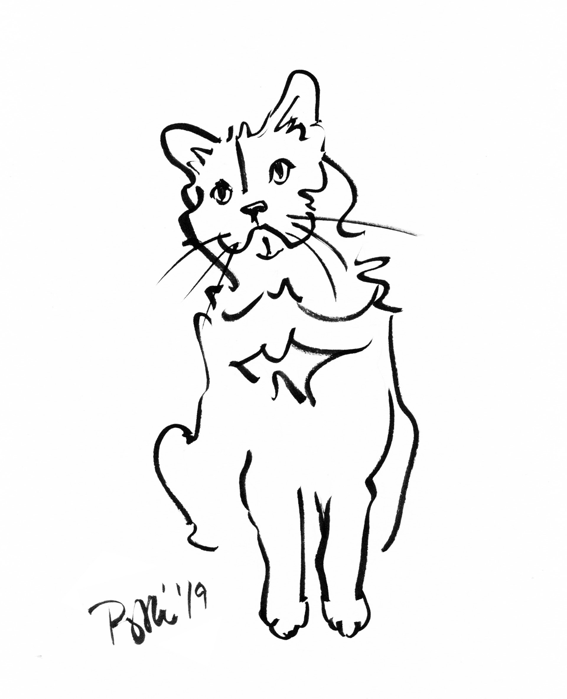 cat pet portrait drawing damn good doormats
