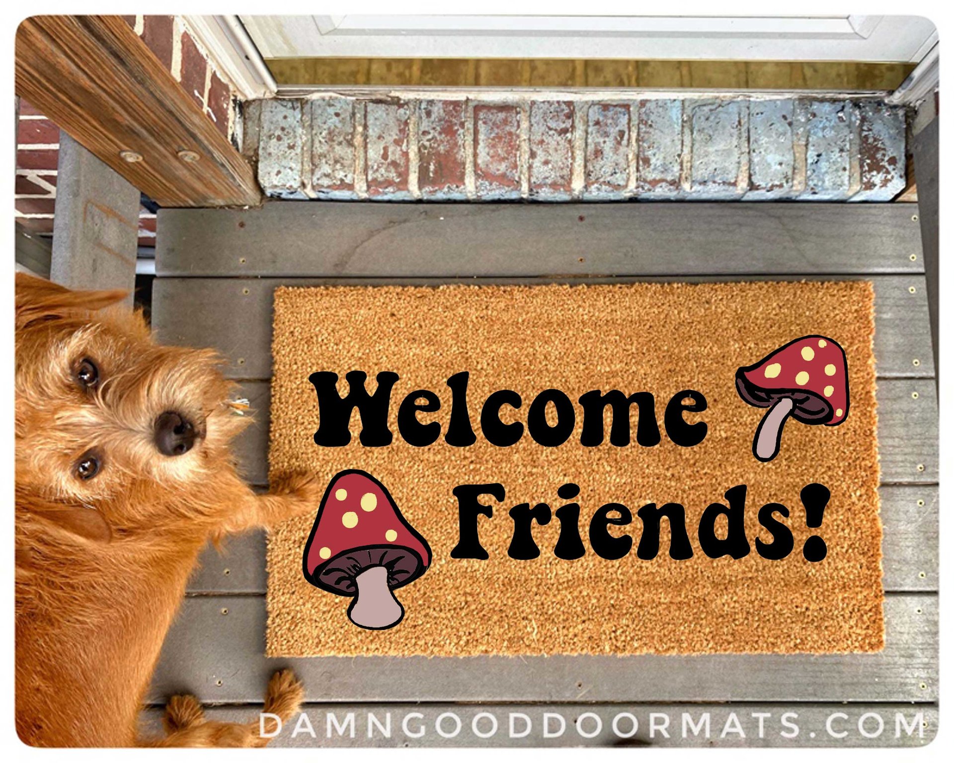 coir outdoor doormat with psychedelic mushrooms and words welcome friends on it