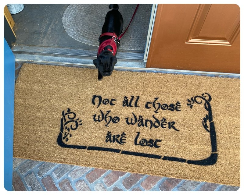 JRR Tolkien Not all those who wander are lost nerd doormat