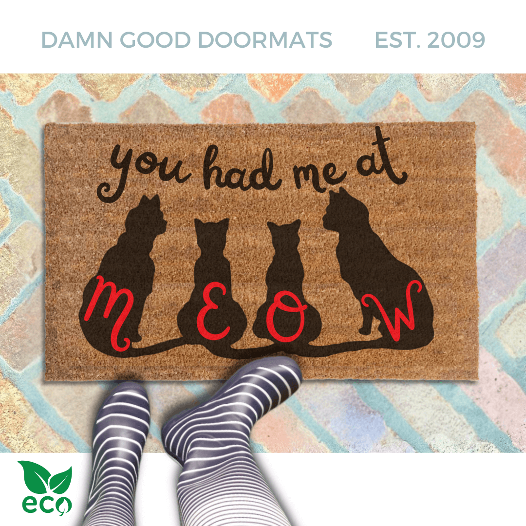 a person's feet in striped rain boots standing on a doormat with the phrase "you had me at meow" written on it and silhouettes of cats