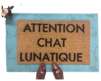 ATTENTION CHAT LUNATIQUE crazy cat door mat french cat lady doormat doormatt