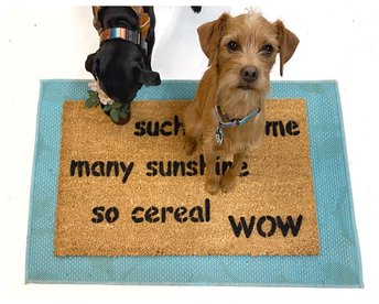 doge much welcome, many sunshine, so cereal,wow, meme, funny, doormat