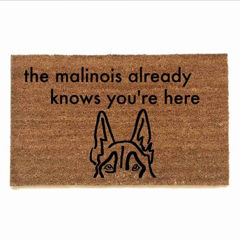 the malinois  already knows you're here doormat with belgian shepherd dog