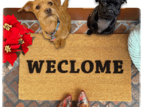 Sustainable coir welcome mat printed WECLOME, funny scrambled-letter doormat for front door