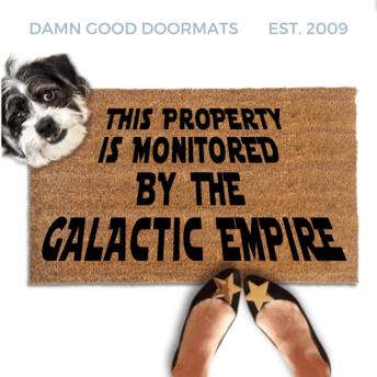 This Property Monitored by the Galactic Empire Doormat with cute terrier dog looking up and a woman in black flats with gold stars on the toes