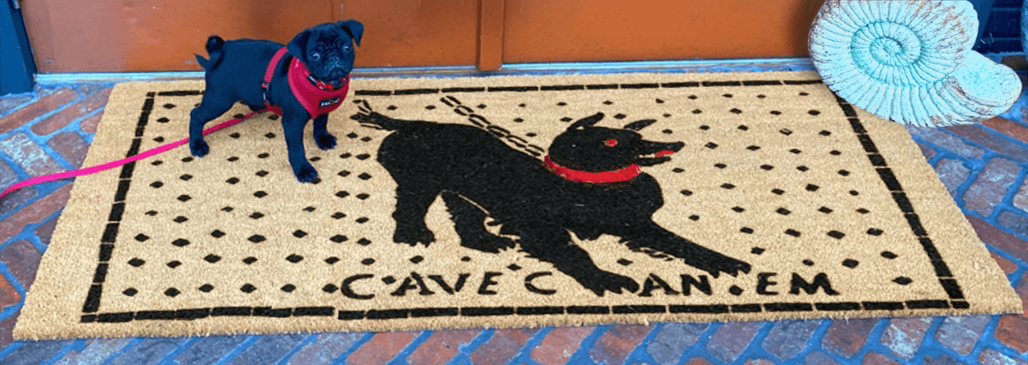 doublewide doormat with the Cave Canem Beware of Dog Pompeii mosaic design. A black pug puppy in a red harness stands on the doormat