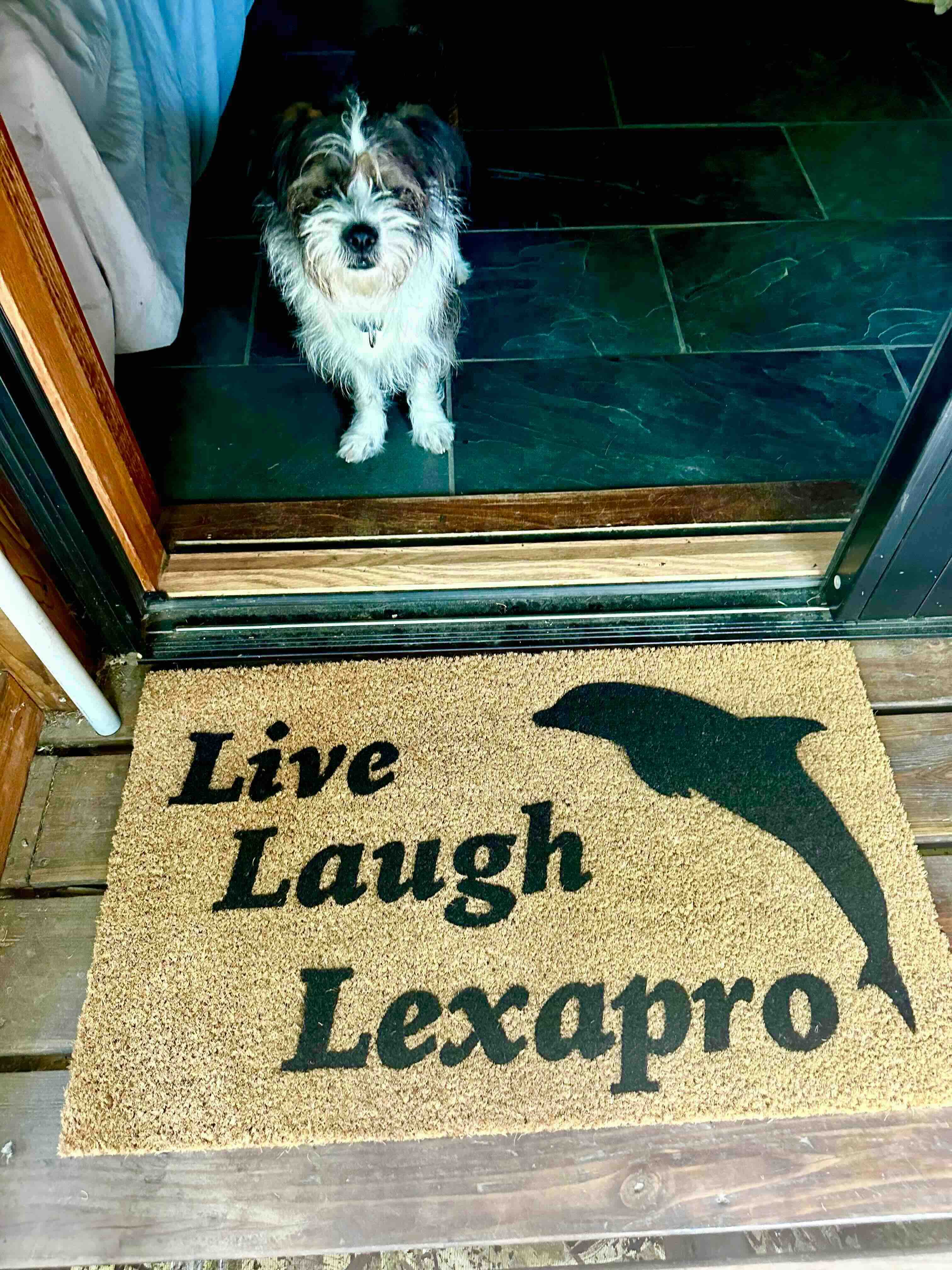 live love lexapro coir doormat on a wood back deck with a terrier dog