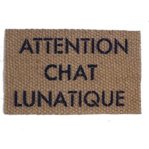ATTENTION CHAT LUNATIQUE crazy cat door mat french cat lady doormat doormatt