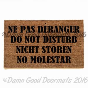 Do not disturb in Spanish, French, English and German. That should getthe messag