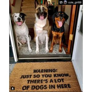 my dogs kind of a DICK funny rude dog lover gift doormat