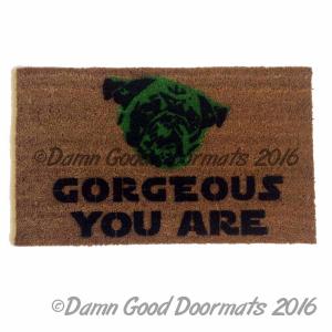 PUG you are