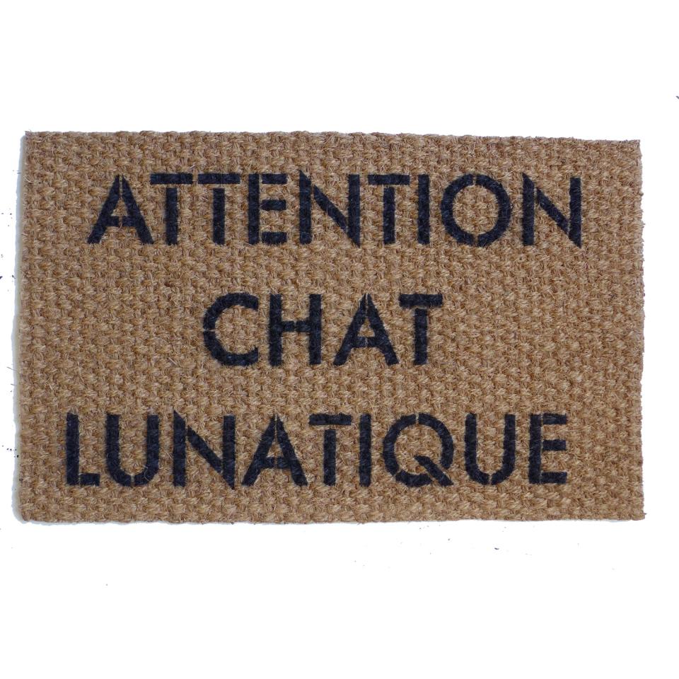 Attention Chien Bizarre French crazy dog doormat