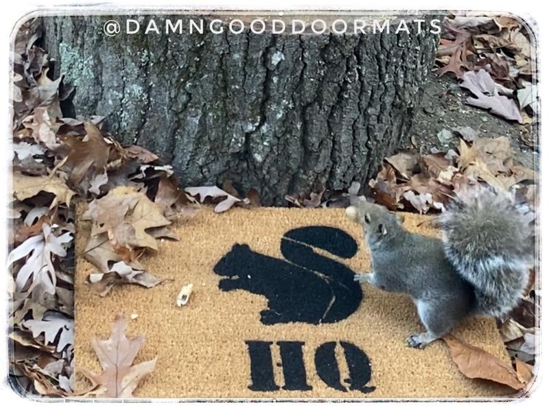 coir doormat with squirrel illustration, Ranch or HQ design, custom border options, from Damn Good Doormats.