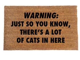 Doormat with warning text reading "CATS: Just so you know, there's a lot of cats in here™"