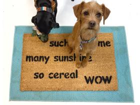 doge much welcome, many sunshine, so cereal,wow, meme, funny, doormat